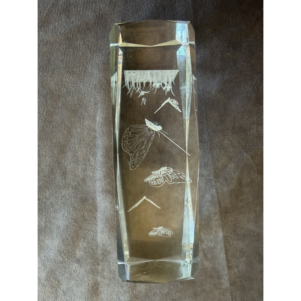 3D 3D Laser Etched Crystal Butterfly Life Cycle Paperweight Figurine 6.5" Nature